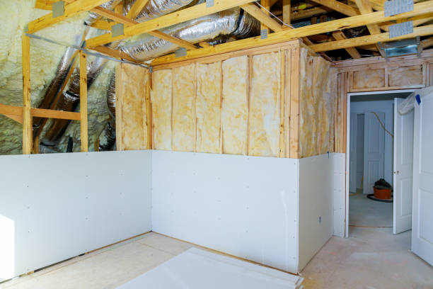Best Insulation Inspection Services  in Village Of Four Seasons, MO