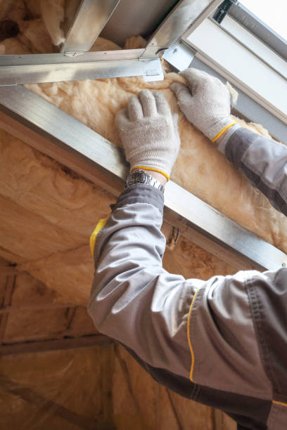 Best Insulation Replacement Services  in Village Of Four Seasons, MO