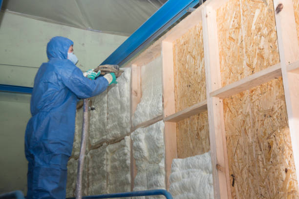 Best Attic Insulation Installation  in Village Of Four Seasons, MO