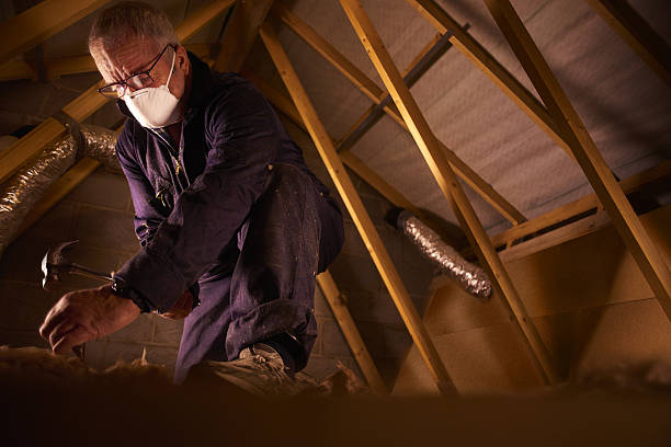 Best Home Insulation Services  in Village Of Four Seasons, MO